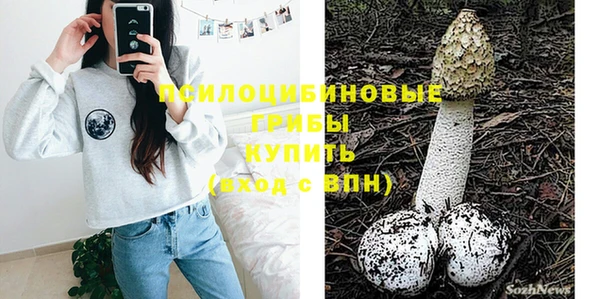 сатива Нефтекумск
