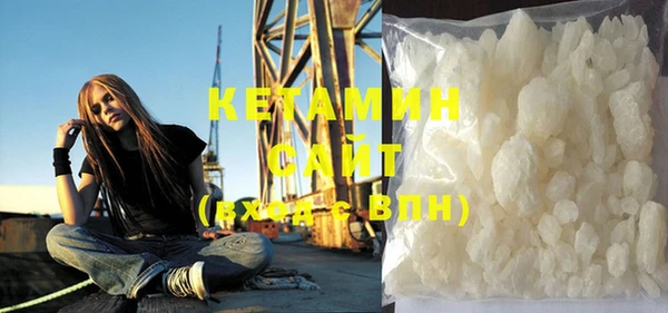 индика Нягань