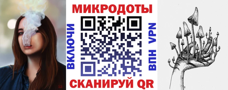 Галлюциногенные грибы Psilocybe  купить наркотик  Новоалтайск 