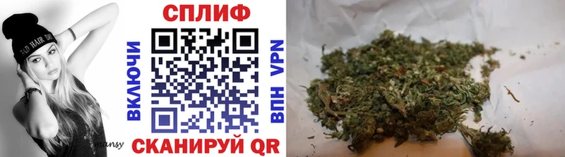 где купить наркоту  Новоалтайск  Шишки марихуана планчик 